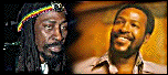 Bunny & Marvin The Wailers News