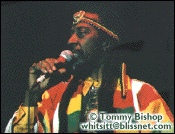 Bunny Wailer - � Tommy Bishop