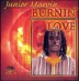 Burnin' Love cover