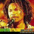Garnett Silk - The Definitive Collection