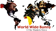 World Wide Bunny The Wailers News